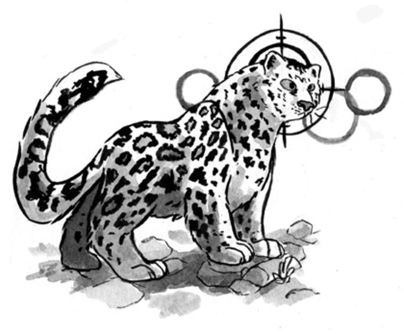 Paws off: professor calls for awareness, protection of snow leopards