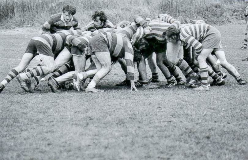 A scrum during a Hammerheads rugby match.