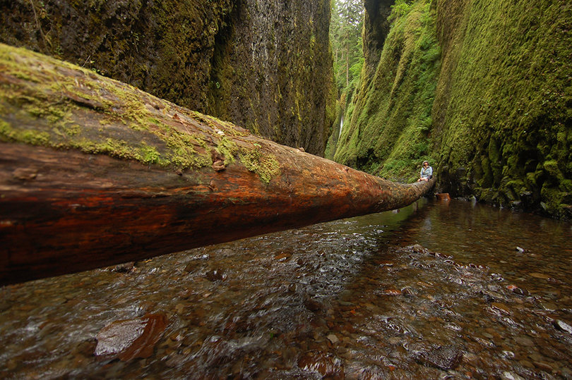 Lori Greene, Guttman’s mother, relaxes on a basalt canyon in the Columbia River Gorge in Corbett, Oregon.   