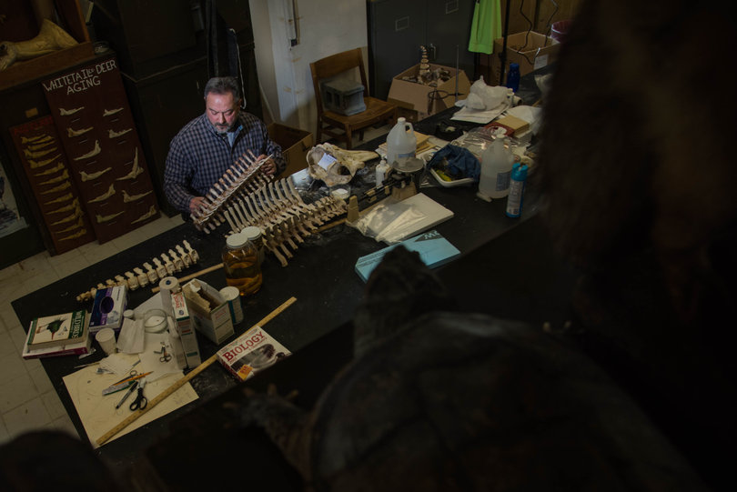 SUNY-ESF's Roosevelt Wild Life Collection boasts more than 10,000 specimens.