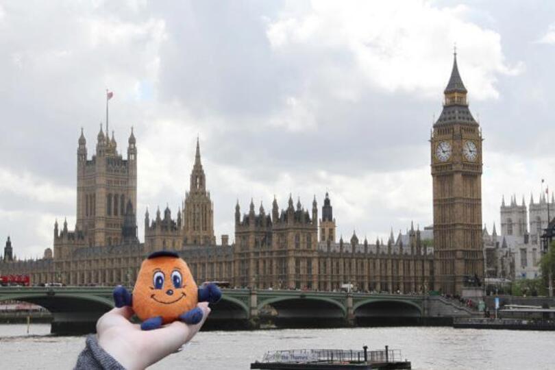 SU Abroad students hunt for places to watch the Final Four games