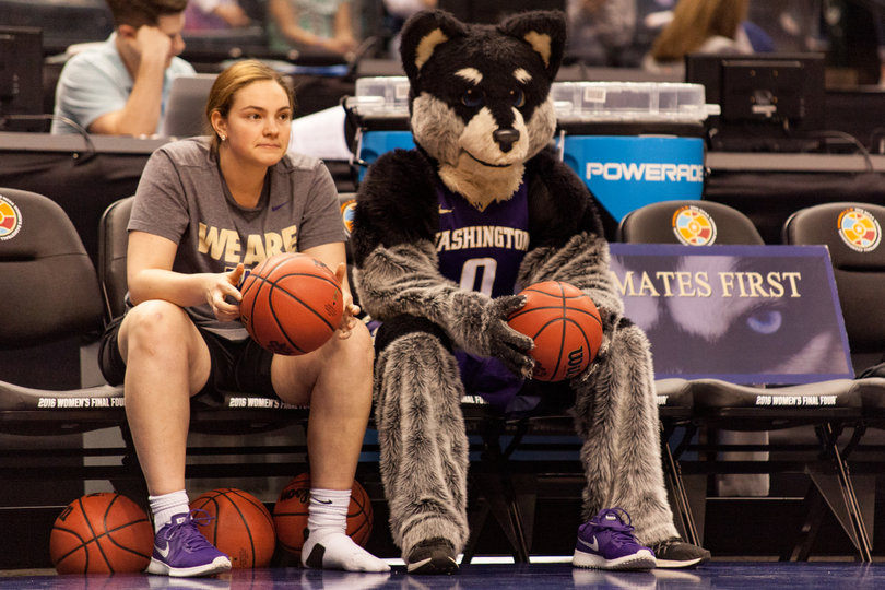 Washington's mascot, Harry the Husky, watches practice from the bench.