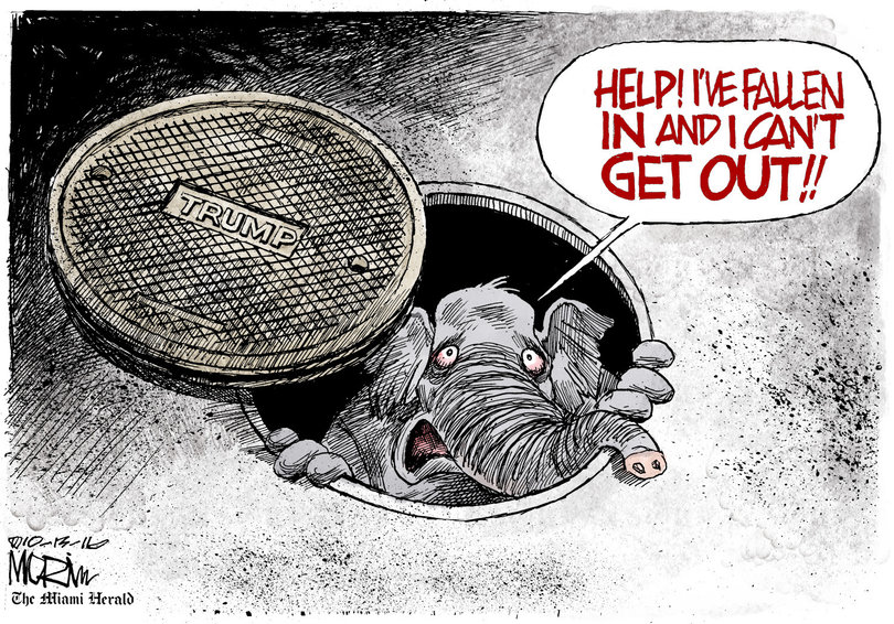 A collection of the editorial cartoons to which Pulitzer judges awarded the 2017 prize in editorial cartooning. 