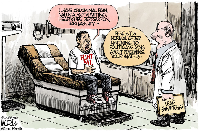 A collection of the editorial cartoons to which Pulitzer judges awarded the 2017 prize in editorial cartooning. 