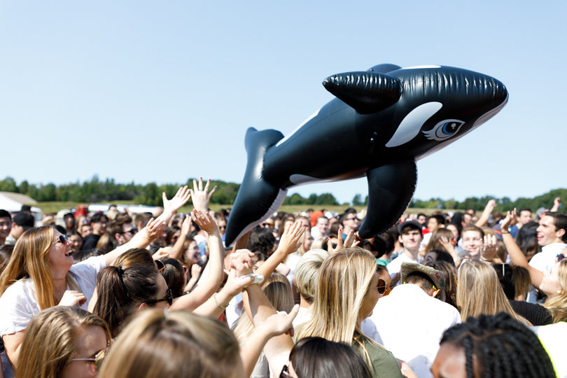 During the song "Killer Whales," Smallpools tossed a blow-up killer whale into the crowd.