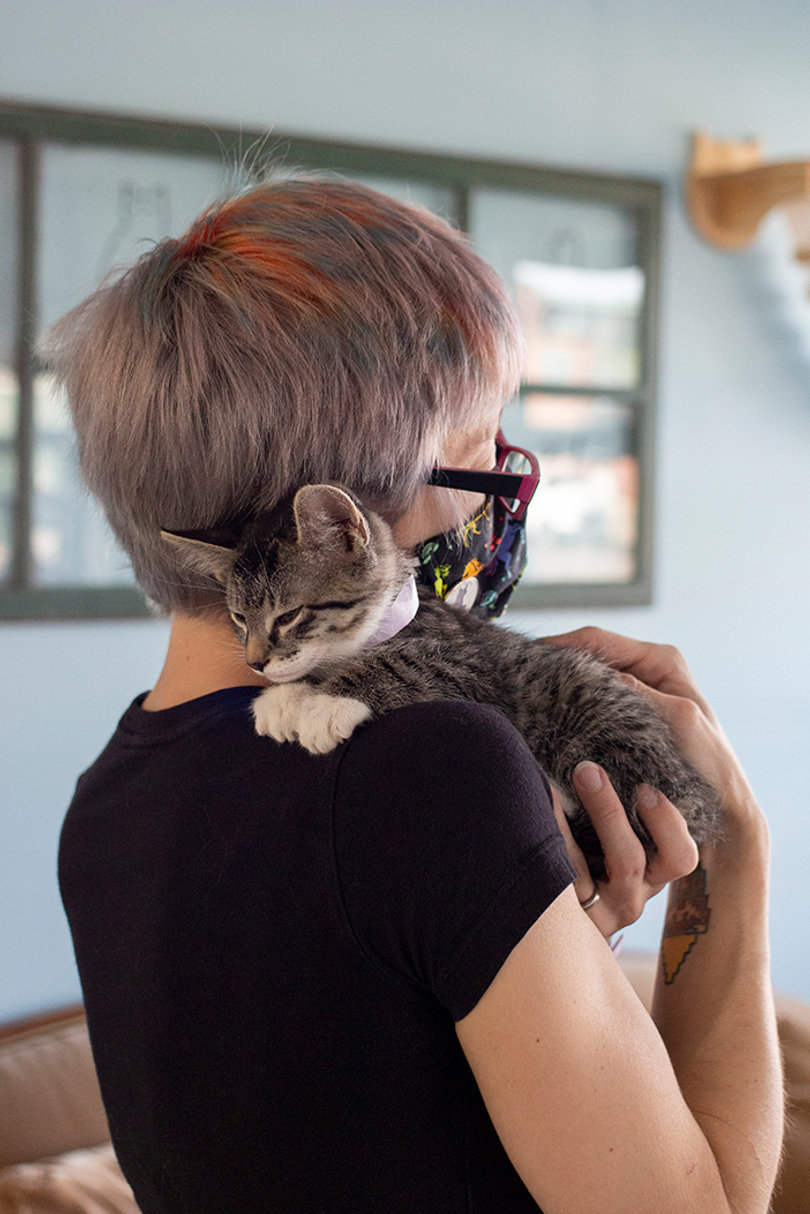 A kitten named Meatball rests on Alisha Reynolds' shoulder.