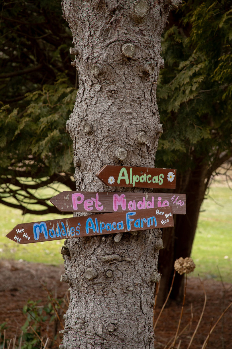 A tree with signs.