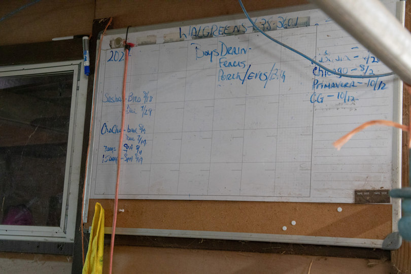 A whiteboard with names.