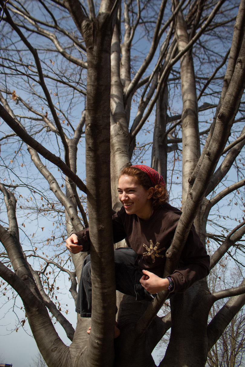 A student climbs a tree.