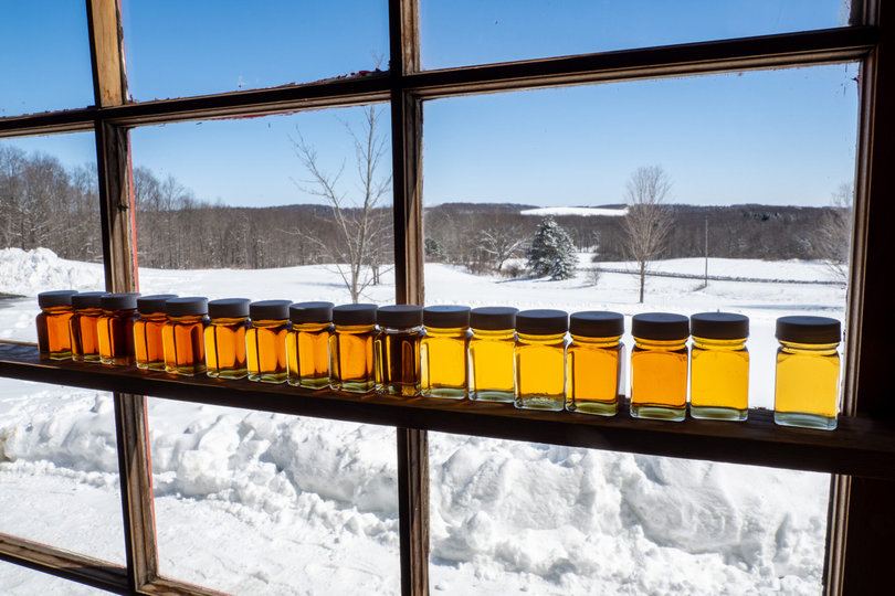 Jars of syrup against a window.