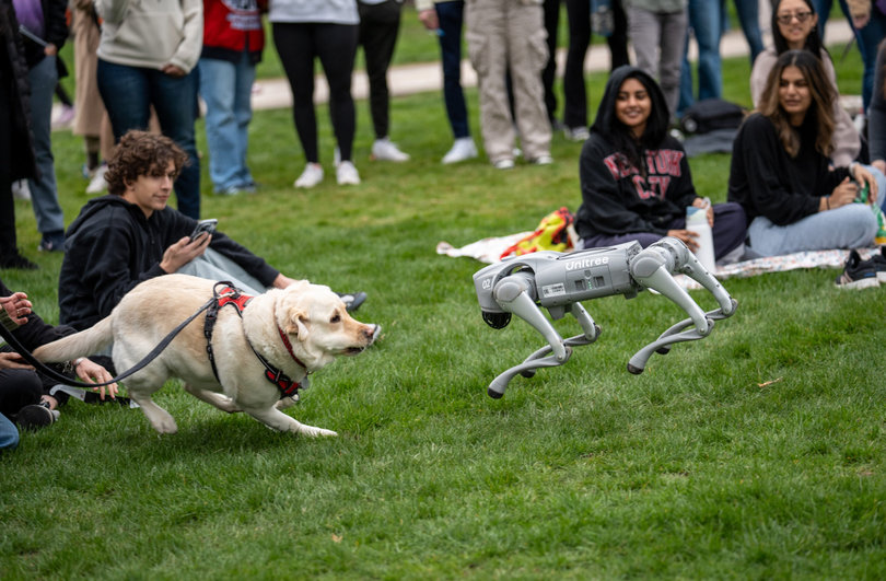 A dog and a robot dog play with each other.
