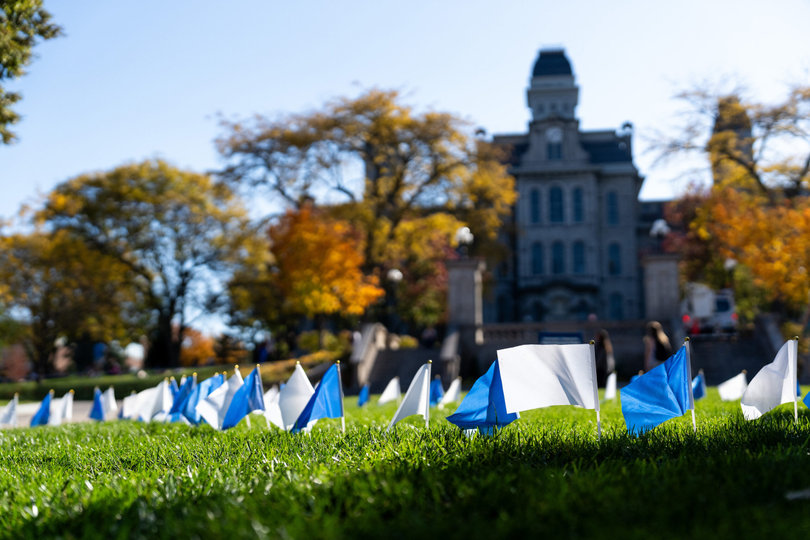 Small flags on a lawn.