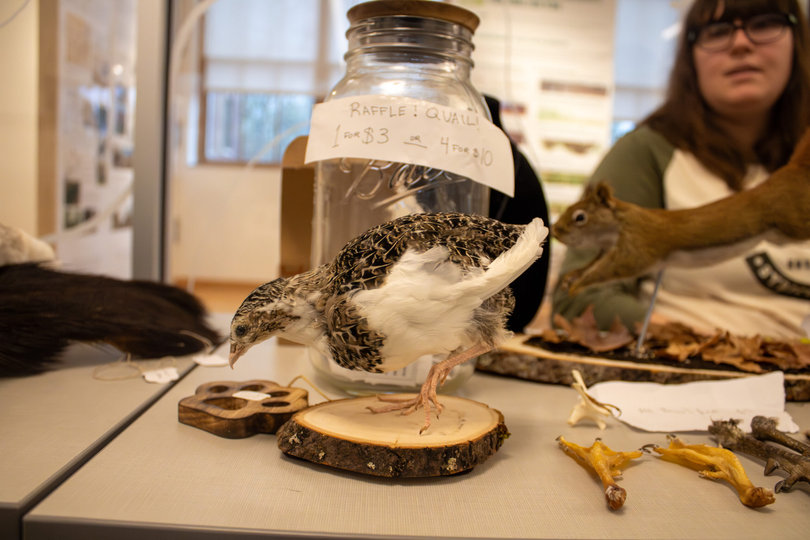A vendor sells a taxidermied quail at Quadstock. The festival featured local businesses and students selling a range of items, including waistbeads, crochet plushies, vintage clothing, and even free Narcan.