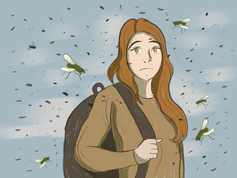 Student with flies illustration