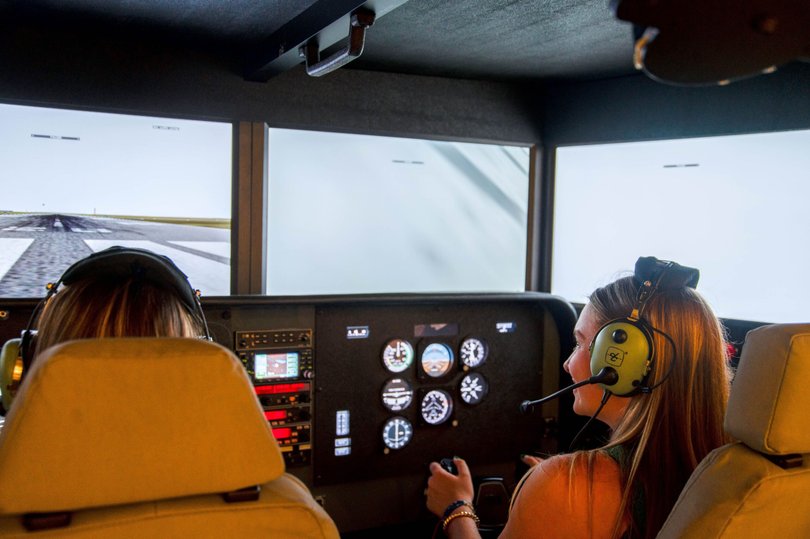 flight sim